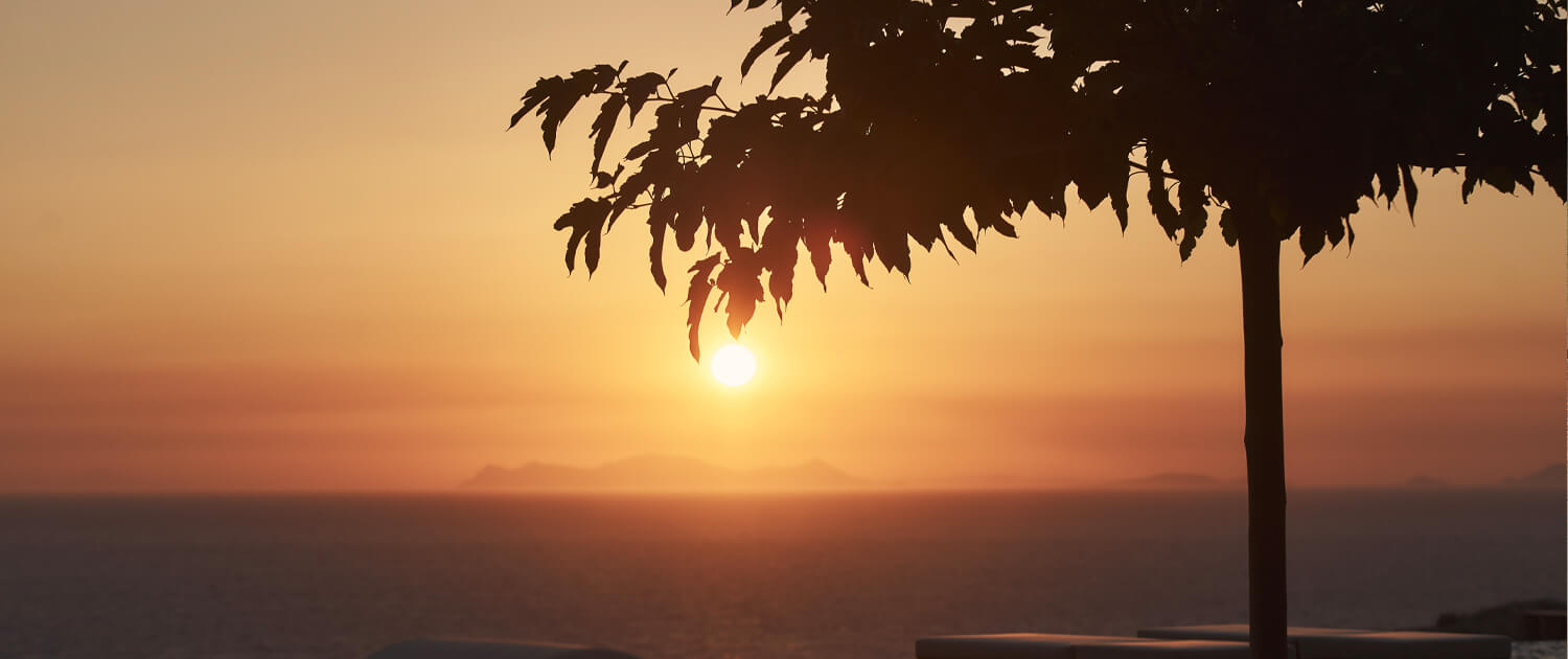 Lifestyle Only Destinations